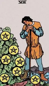 Seven of Pentacles